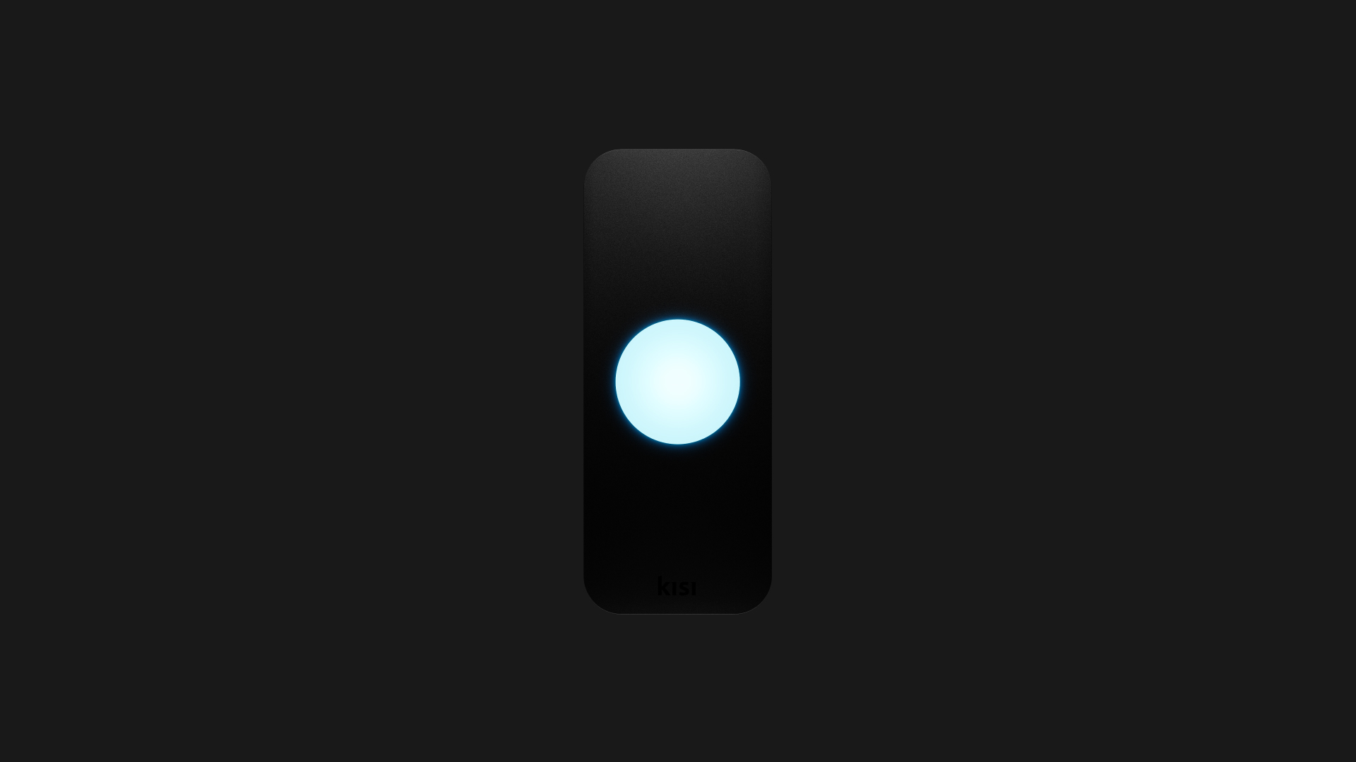 Kisi Reader Pro 2